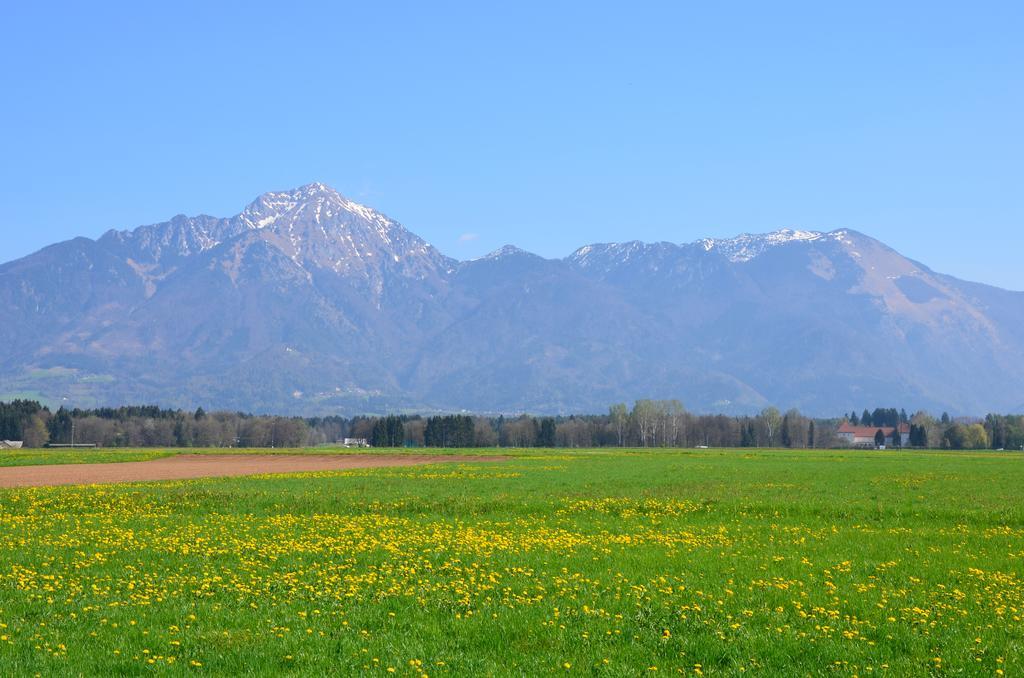 Bed And Breakfast Valjavec Kranj Exterior photo